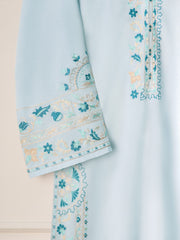 Embroidered Pure Karandi Shirt S110814