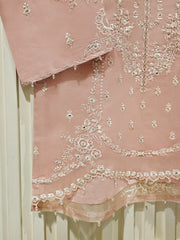 2 Piece - Pure Organza Embroidered Suit S111366