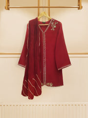 3 Piece - Pure Cotton Net Embroidered Suit S109017