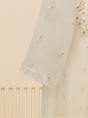 3 Piece - Embroidered Chiffon Suit S109444