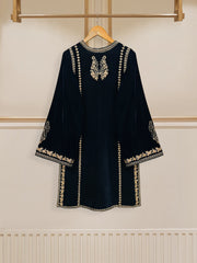 2 Piece- Embroidered Velvet Suit S110489