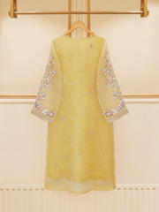 3 Piece - Pure Organza Embroidered Suit S109447