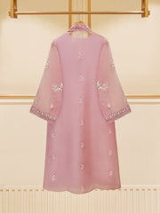 2 Piece - Pure Organza Embroidered Suit S109470