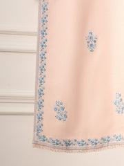 2 Piece- Embroidered Karandi Suit S110771