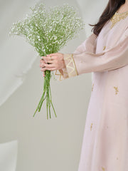 2 Piece- Pure Silk Net Embroidered Suit S110403