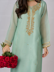 2 Piece - Pure Cotton Net Embroidered Suit S110333