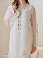 3 Piece - Pure Organza Embroidered Suit S110162
