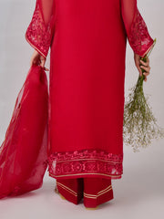 3 Piece - Pure Organza Embroidered Suit S110348