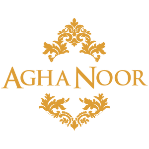 Aghanoorinternational logo