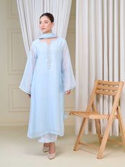 3 Piece - Pure Cotton Net Embroidered Suit S110074