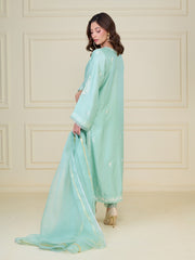 2 Piece- Pure Silk Net Embroidered Suit S110107