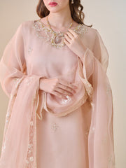 3 Piece - Pure Organza Embroidered Suit S110135
