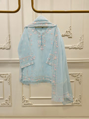 3 Piece - Pure Embroidered Cotton Net Suit S112446