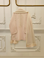 3 Piece - Pure Embroidered Cotton Net Suit S112893