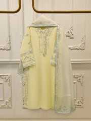 3 Piece - Pure Embroidered Cotton Net Suit S113239