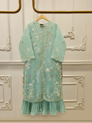 2 Piece - Pure Organza Embroidered Suit S115521
