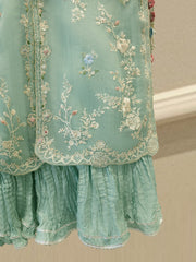 2 Piece - Pure Organza Embroidered Suit S115521