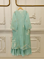 2 Piece - Pure Organza Embroidered Suit S115521