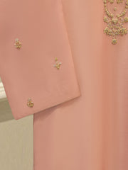 2 Piece- Pure Embroidered Sheesha Silk Suit S112027