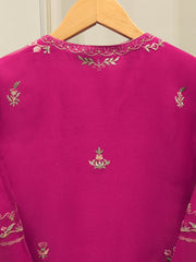 2 Piece - Pure Organza Embroidered Suit S112809