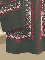 2 Piece - Embroidered Georgette Suit WS00206