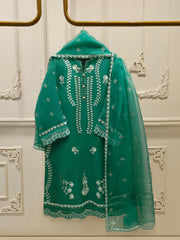 2 Piece - Pure Organza Embroidered Suit S112923