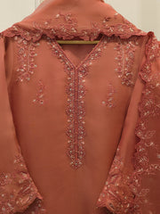 3 Piece - Pure Organza Embroidered Suit S112919