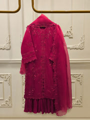3 Piece - Pure Organza Embroidered Suit S115248