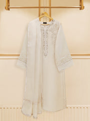 3 Piece - Pure Organza Embroidered Suit S109450