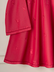 2 Piece - Embroidered Karandi Suit S110741