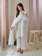 3 Piece - Pure Cotton Net Embroidered Suit S110182