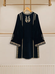 2 Piece- Embroidered Velvet Suit S110489