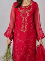 3 Piece - Pure Organza Embroidered Suit S110348