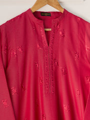 2 Piece - Embroidered Karandi Suit S110741