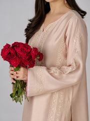 2 Piece- Pure Silk Net Embroidered Suit S110313