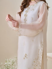 3 Piece - Pure Organza Embroidered Suit S110162