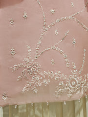 2 Piece - Pure Organza Embroidered Suit S111366