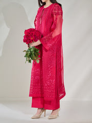 3 Piece - Pure Organza Embroidered Suit S110427