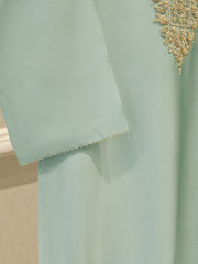 Pure Embroidered Sheesha Silk Shirt S113129