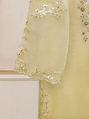 3 Piece - Pure Organza Embroidered Suit S110111