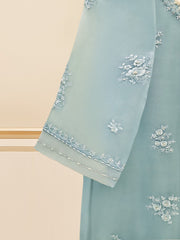 2 Piece - Pure Organza Embroidered Suit S109514