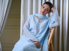 3 Piece - Pure Cotton Net Embroidered Suit S110074