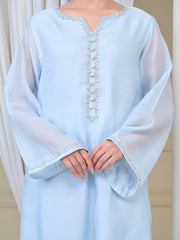 3 Piece - Pure Cotton Net Embroidered Suit S110074
