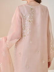 3 Piece - Pure Organza Embroidered Suit S110135