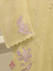 2 Piece - Pure Embroidered Cotton Net Suit S114935