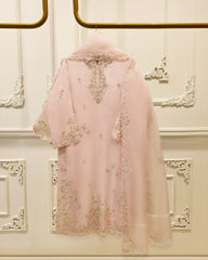 3 Piece - Pure Organza Embroidered Suit S115710