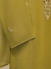 3 Piece - Embroidered Silk Net Suit S112118
