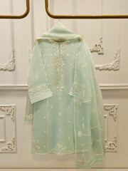 3 Piece - Pure Organza Embroidered Suit S112375