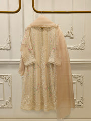 3 Piece - Pure Embroidered Cotton Net Suit S112680