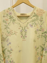 2 Piece - Embroidered Shesha Silk suit WS00388